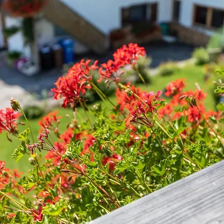Apartman Kuckucksnest Fischbachau