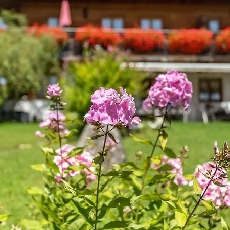 Apartman Kuckucksnest